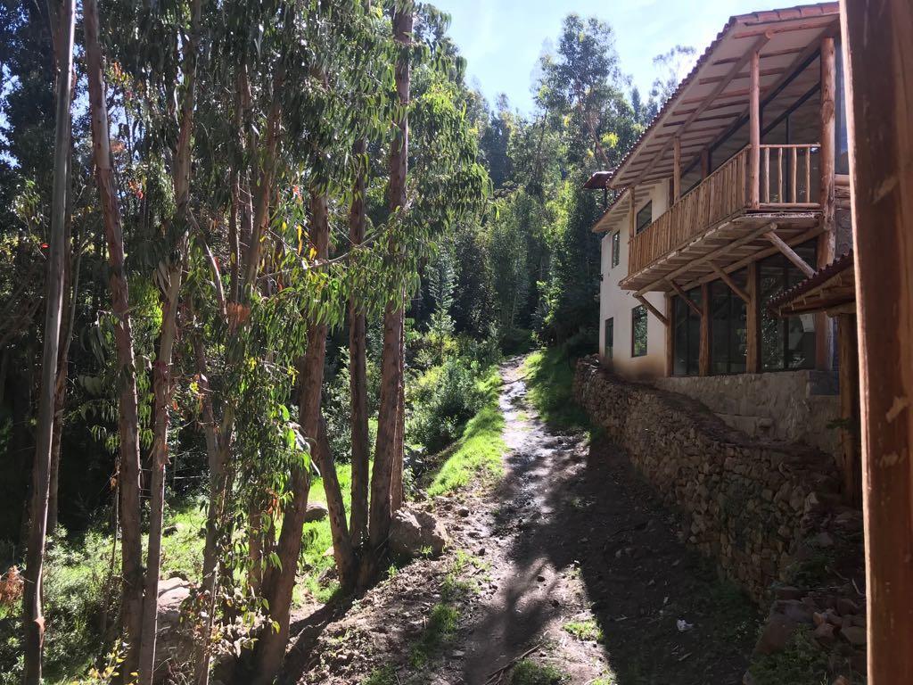 Bamboo Lodge Sacred Valley Pisac Eksteriør billede